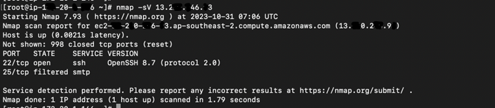 Nmap version detection